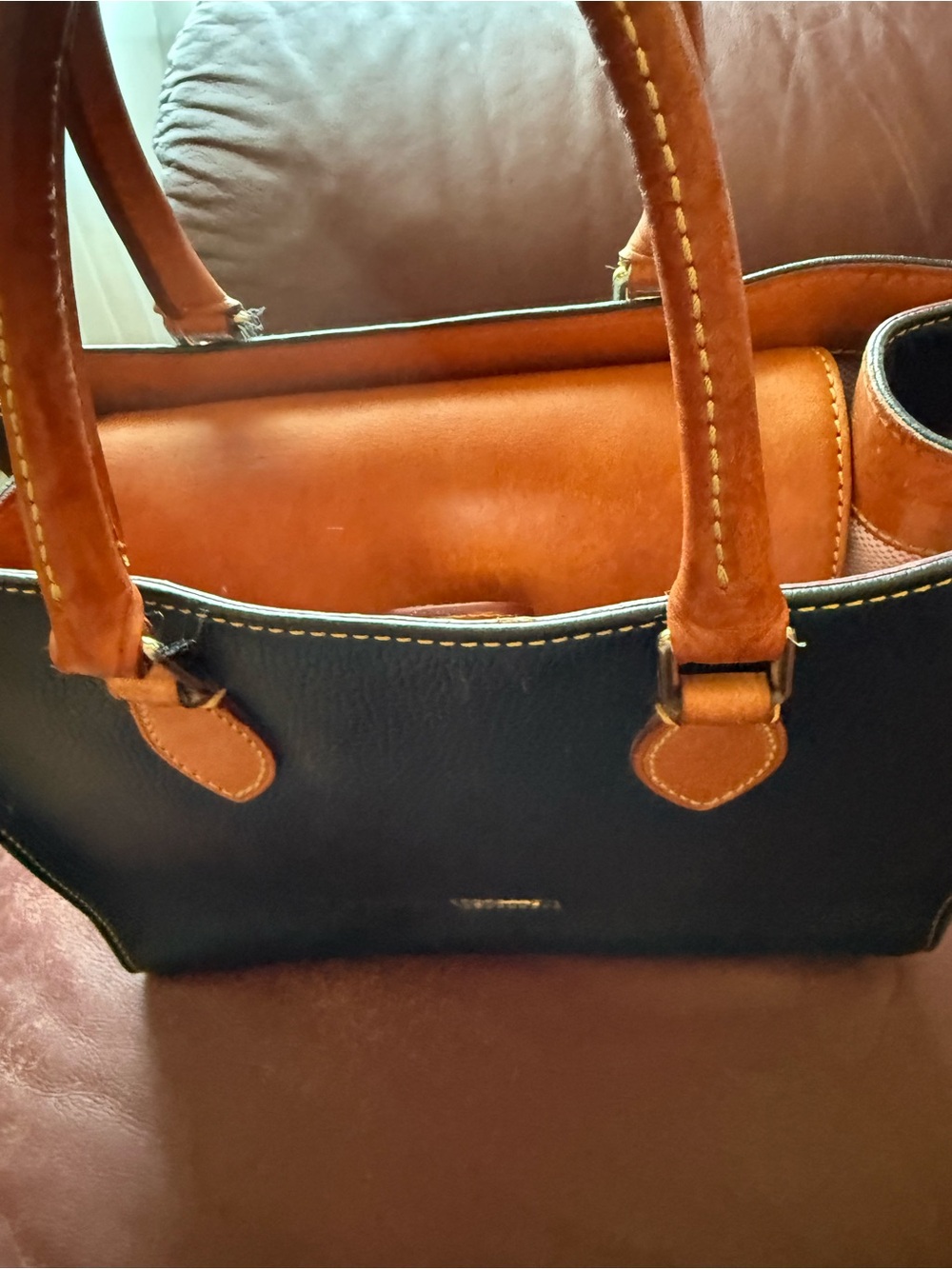 Dooney & Bourke Black Tote with Brown Leather Trim